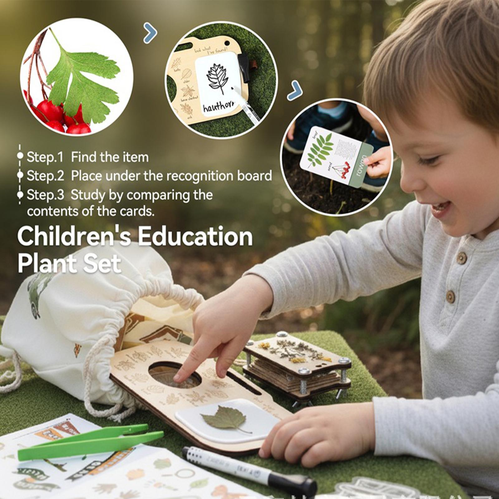 Outdoor Adventure Activities For Kids - Mainan Eksplorasi Luar Ruangan Pengamatan Tanaman