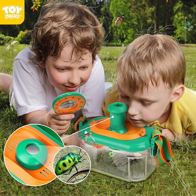 Penangkap Kupu-kupu Serangga A - Outdoor Adventure Activities For Kids ulasan dan harga