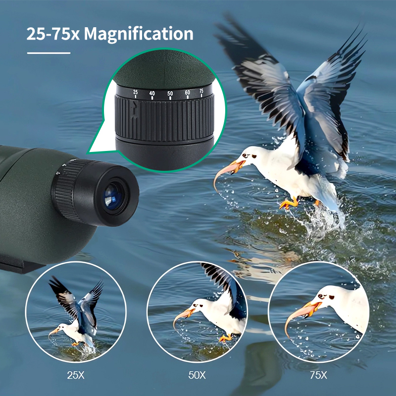 25-75x60 teropong Spot Scope Z - Outdoor Adventure Watches ulasan dan harga